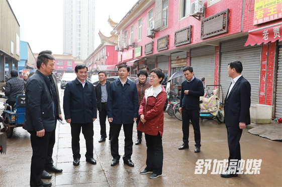 市委常委、宣传部长韩军赴舒城县开展突出生态环境问题整改调研活动