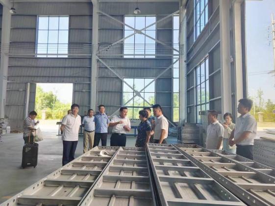 市人大常委会副主任司敏督查叶集区二季度突出生态环境问题整改工作