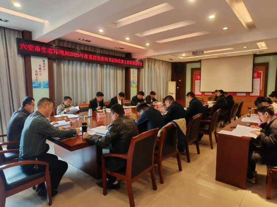 市生态环境局召开2025年度机关基层党组织书记抓党建工作述职评议会